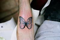 papillon 2